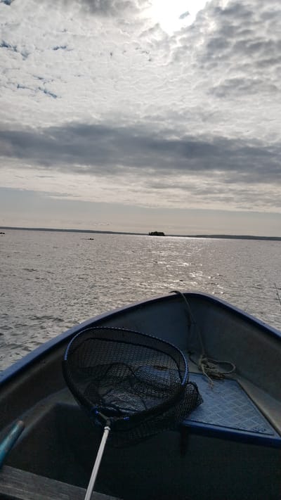 The image depicts a view from a boat moving across a calm body of water. In the foreground, the dark interior of the boat is visible, with a fishing net resting inside. The net is black with blue accents. A rope is coiled to the right of the net. The water is rippling, reflecting the overcast sky, which is filled with clouds. In the distance, a small, tree-covered island is visible on the horizon, along with the suggestion of a distant shoreline. The overall impression is that of a serene, possibly fishing, excursion on a large lake or bay, likely near Nadvoitsy, Russia, given the context.