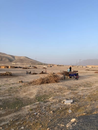 An outdoor scene in Spezand, Pakistan, depicts an arid, dusty landscape under a clear, pale blue sky, likely in the late afternoon. The ground is light brown, sparsely vegetated with dry grasses, and strewn with rocks. In the mid-ground, numerous makeshift structures, possibly tents or temporary dwellings, are visible, indicating a settlement. Barren, low hills rise in the background, traversed by power lines and utility poles.

Multiple individuals, including adults and possibly children, are present. They wear light-colored, loose-fitting clothing. The primary activity centers around large piles of tree branches or firewood scattered across the terrain. In the mid-right, a blue three-wheeled motorized vehicle with a flatbed is being loaded with branches. One person stands on the vehicle's bed, arranging the load, while another stands nearby. A motorcycle is parked adjacent to the blue vehicle. Further to the left, a group of approximately five individuals, some appearing to be children, are gathered around another pile of branches, seemingly sorting or preparing them. Other smaller piles of branches are visible in the foreground and throughout the mid-ground. The scene suggests a community engaged in the collection and transport of natural resources, likely for fuel.