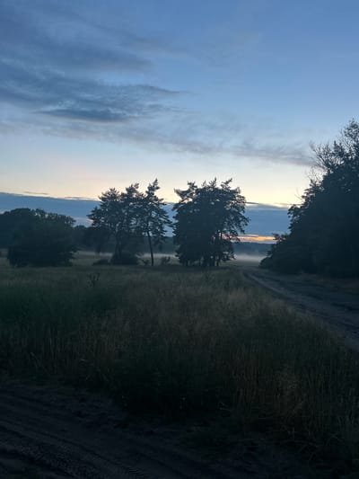 An early morning scene depicts a dirt road leading through a field with tall grass on the left and a line of trees on the right. Mist hangs low in the distance, obscuring the horizon where a hint of sunrise colors the sky. The sky above is a gradient of deep blue to lighter hues, with scattered clouds. The overall impression is one of a quiet, natural landscape in Ukraine.