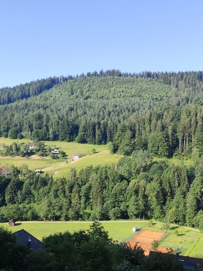 The image shows a panoramic view of a hillside in Baiersbronn, Germany, covered with dense coniferous forest. Several houses are scattered across the lower slopes, nestled among green meadows. A tennis court facility is visible on one of the lower grassy areas, featuring two red clay courts with surrounding fencing and lighting. A small wooden structure, possibly a shed or outbuilding, is also present on the meadow. The sky above is clear and blue, indicating fair weather. The scene is a depiction of a rural, wooded environment with residential structures and recreational facilities.