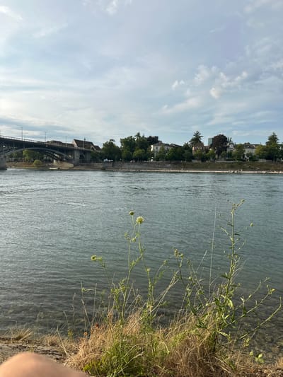 This is a vertical, eye-level, medium shot of a riverbank in Basel, Switzerland. The sun is shining, casting a warm glow on the scene, and there are a few wispy clouds in the pale blue sky. The river flows gently, its surface rippling with light. On the far bank, houses and trees line the shore, with a bridge spanning the water in the distance. People can be seen strolling along the riverbank, enjoying the pleasant weather. The foreground is dominated by dry grass and some delicate wildflowers, their slender stems reaching towards the sky. The overall mood is peaceful and serene, evoking a sense of calm and relaxation. There is no visible text in the image.