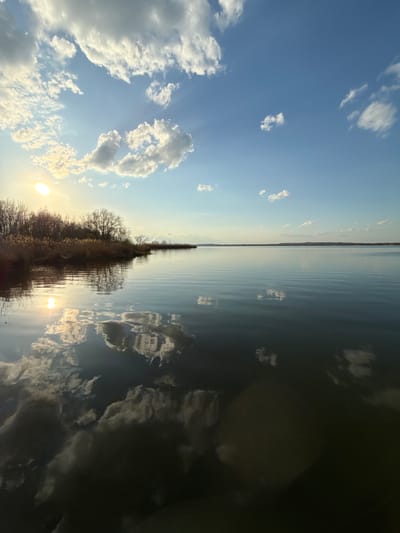 A serene landscape photograph, likely taken near Kurchatov, Russia, captures a vast expanse of calm water meeting a wide sky at the horizon. The image, presented vertically but depicting a horizontal vista, shows the sun low on the left side, indicating either sunrise or sunset. Its intense, circular glow creates a brilliant reflection across the water's surface, stretching towards the viewer.

The sky above is a clear blue, adorned with scattered white cumulus clouds, some catching the golden light of the sun. These clouds, along with the sun and the distant sky, are perfectly mirrored in the tranquil water below, creating a near-symmetrical reflection. A narrow, dark strip of land, possibly a distant shoreline or island, runs horizontally across the middle distance, separating the sky from its reflections. This land is populated by bare deciduous trees and what appear to be reeds or dry grasses, suggesting late autumn, winter, or early spring. The reflections of this sparse vegetation are also visible in the water.

The scene conveys a sense of peaceful natural beauty and tranquility, with no human activity or visible text. The calm water and soft light contribute to an atmospheric and contemplative mood.