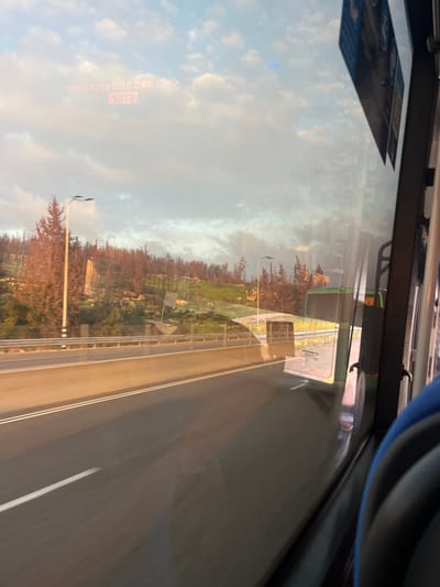 The image, taken from inside a bus in Mate Yehuda Regional Council, Israel, shows a view through the window. The reflection on the glass displays a cloudy sky and an electronic display board. Outside the window, a landscape of trees and vegetation runs alongside a highway. The highway has a double yellow line on one side and a single white line separating the lanes. A light post is visible in the foreground.