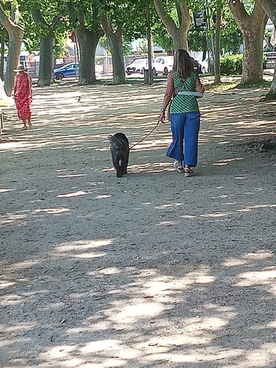 A rear view of two people and a dog are captured walking on a dirt path lined with trees in Banyoles, Spain. On the left, a person wearing a red patterned dress and a straw hat walks away from the camera. To the right, a person in a green and white striped tank top and blue capri pants walks with a dog on a leash. The dog, a dark-colored, medium-sized breed, walks in front of the person. The path is dappled with sunlight and shadows from the surrounding trees. In the background, cars and buildings are visible, suggesting an urban or semi-urban setting.