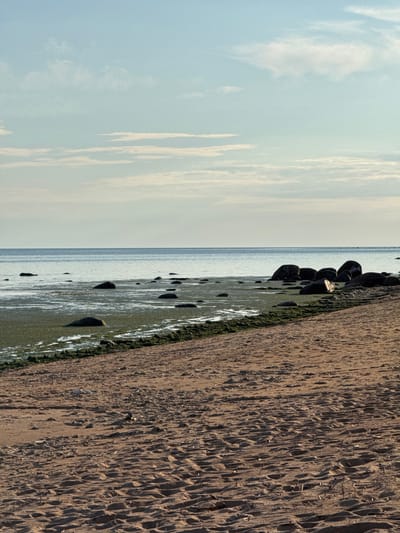 The image depicts a tranquil beach scene at low tide near Shepelevo, Russia. The foreground is a sandy beach with visible footprints and scattered debris like small twigs and what appears to be cigarette butts. Beyond the beach, the water is shallow, revealing numerous dark, smooth rocks covered in green algae. In the distance, the sea stretches out to meet a pale blue sky, which is streaked with wispy white clouds. The overall impression is one of peaceful, natural beauty.