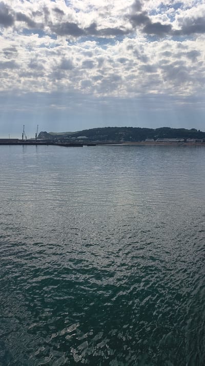 The image captures a wide-angle view of a coastline and the sea. The scene is divided vertically, with the left side dominated by a bright, cloudy sky featuring fluffy white and darker grey clouds. The right side depicts the calm, choppy surface of the sea, reflecting the light and showing ripples and texture.
Along the coastline, a dark, tree-covered hill or cliff slopes down towards the water. Nestled along the base of the hill is a line of buildings, suggesting a town or village situated by the sea. In the foreground, a man-made structure, likely a pier or breakwater, extends into the water. Two cranes are visible on this structure, indicating industrial or port activity. The sea itself appears deep blue-green, with sunlight glinting off its surface, creating a shimmering effect.
The time of day appears to be daytime, likely late morning or early afternoon, given the brightness of the sky and the quality of light. The weather seems partly cloudy with patches of sunshine. The location is identifiable as Dover, United Kingdom, with the distinctive coastline and the presence of port structures. The overall mood is serene and captures a typical coastal landscape. No visible text is present in the image.