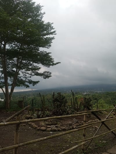 The image depicts an elevated outdoor scene in Kandapola, Sri Lanka, under a heavily overcast, grey sky. The environment features a broad panoramic view of a lush green landscape. In the immediate foreground, a rough fence constructed from multiple horizontal bamboo poles and vertical supports extends across the lower portion of the frame. Behind this bamboo fence, a small, cultivated garden area is visible, containing a variety of succulent plants, including several tall, columnar cacti and smaller, clustered agave-like plants, all bordered by a circular arrangement of rocks on disturbed earth. To the left foreground, a large tree with dense, dark green foliage occupies approximately one-third of the vertical frame. Beyond the immediate foreground, a dense expanse of green vegetation covers rolling terrain. In the midground, a tall, grey metal power transmission tower is discernible amidst the trees. Further in the distance, scattered white and light-colored structures indicate a town or settlement nestled within the verdant landscape. Distant hills or mountains are obscured by the low-hanging cloud cover, blending with the horizon. No people, discernible actions, or interactions are visible in the scene.