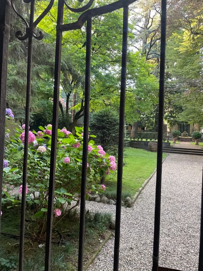 This is a ground-level, eye-level, medium shot taken through a wrought-iron gate. The gate's dark, vertical bars dominate the foreground, obscuring much of the view. Beyond the gate, a lush green garden unfolds. In the immediate left foreground, a vibrant hydrangea bush is in full bloom, displaying large clusters of pink and purple flowers interspersed with green leaves. To the right of the hydrangea, a path of light-colored gravel curves into the background. The garden features a well-maintained lawn, bordered by the gravel path, and beyond that, steps leading up to what appears to be a building with stone accents. The background is filled with mature trees, their green foliage dappled with sunlight. The scene is set in a peaceful, manicured garden environment. This garden is located in Piacenza, Italy.