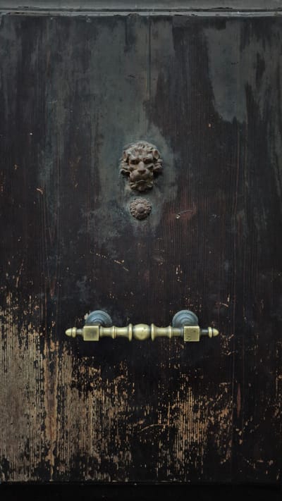 The image shows a close-up of an old, dark wooden door in Taranto, Italy. The door features a weathered surface with visible wood grain and peeling paint, revealing lighter wood underneath in patches. The door is adorned with two brass door handles and a decorative lion's head knocker, along with a smaller circular rosette below it. The handles are horizontal and appear to be made of aged brass, with a central ornate section and squared ends. The lion's head is a raised, detailed casting, positioned centrally above the handles. The overall impression is one of age and historical character.