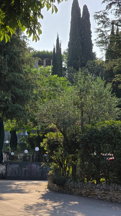 The image depicts a sun-drenched outdoor scene, likely in Sirmione, Italy, given the context. A paved walkway, bordered by a low, textured stone wall on the right, stretches into the distance. Sunlight casts dappled shadows across the paving stones, suggesting it is either morning or late afternoon. The scene is rich with greenery, dominated by lush trees and dense foliage. Two tall, slender cypress trees stand prominently against a pale sky in the background, characteristic of Mediterranean landscapes. An olive tree with silvery-green leaves is visible in the mid-ground, its branches laden with small, light-colored fruits.

In the background, partially obscured by trees, are elements of a building with classical architectural features, including columns, hinting at a historical or resort-like setting. The overall atmosphere is tranquil and inviting. There are white spherical lights scattered among the trees and a dark glass structure, possibly a cafe or restaurant, with chairs visible inside. Some green umbrellas are also present, suggesting outdoor seating areas. The scene evokes a sense of peaceful leisure and a warm, pleasant climate. No people are clearly visible, but the presence of seating and umbrellas indicates it is a place designed for human enjoyment. The time of day is evident from the strong shadows and bright illumination.