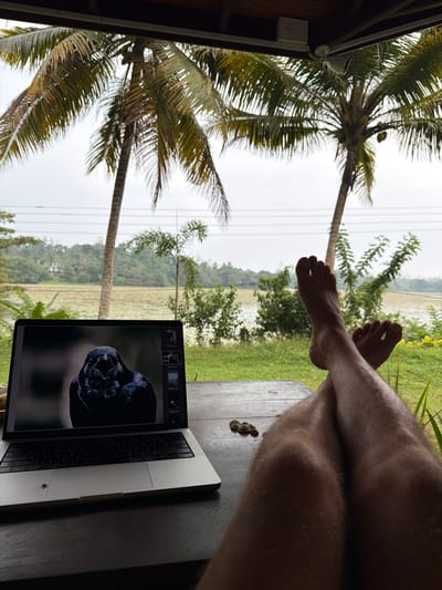 An individual's bare legs, crossed at the ankles, rest on a dark wooden surface in the foreground, indicating a relaxed posture. To the left of the legs, a silver laptop is open on the same surface, displaying a close-up photograph of a dark-feathered bird with its beak open on its screen. A photo editing interface with thumbnail images is visible on the right side of the laptop's display. Adjacent to the laptop and the individual's right leg, a small cluster of approximately seven light-colored, oval-shaped objects rests on the wooden surface.
The scene is viewed from beneath an overhead wooden beam, from which a white speaker is mounted. Beyond the immediate foreground, the outdoor environment of Moodugamuawa, Sri Lanka, unfolds under an overcast sky. Two prominent tall palm trees with green and yellowing fronds dominate the central and right portions of the view, extending towards the top of the frame. In the mid-ground, a body of water, possibly a lake or paddy field, is visible, partially covered with aquatic vegetation. Lush green vegetation, including smaller palm trees and bushes, lines the edge of the water. Faint utility lines are discernible horizontally across the mid-distance. In the far background, verdant hills with sparse structures are visible beneath the grey sky.