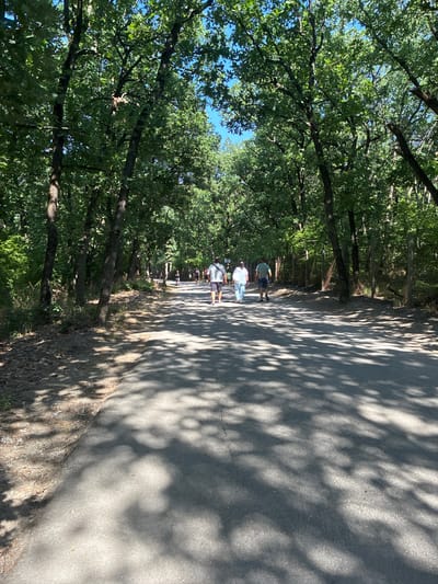 The image depicts a sun-dappled asphalt path winding through a forest. Several individuals are walking along the path, casting shadows on the ground. The trees lining the path are lush and green, with a clear blue sky visible through the canopy. The scene suggests a recreational area within a natural setting.