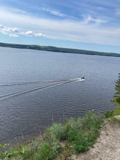 The image displays a wide body of water, likely a river or lake, stretching across the frame under a bright blue sky with scattered white clouds. In the middle distance, a dark-colored motorboat or personal watercraft is actively moving, creating a distinct, long wake that trails behind it on the textured water surface.

On the far left horizon, a distant landmass covered with a dense green forest forms the opposing bank. To the right, a closer, elevated bank or shoreline is visible. This bank features a light-colored, possibly gravel or dirt, path or ground, and is abundant with various green bushes and foliage growing along its edge. Some leafy branches from an overhead tree extend into the top right corner of the frame.

The clear blue sky and bright illumination suggest it is daytime, possibly late morning or early afternoon, with sunny weather and light winds causing ripples on the water. The scene evokes a sense of natural tranquility and outdoor activity. There are no people visibly present, either in the boat or on the shore, nor is there any visible text. The setting aligns with the provided location context of a natural landscape in Пятый километр, Russia.