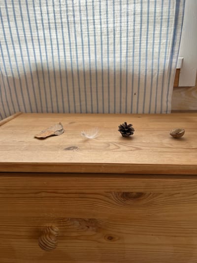 The image shows a close-up of a wooden cabinet door, adorned with natural objects: a halved walnut shell, a small pine cone, a feather, and a rock fragment. The cabinet appears to be made of light-colored wood with a visible grain pattern. A light blue and white striped curtain is visible to the left of the cabinet. The knob of another cabinet door is visible in the right side of the frame. There is no definitive evidence to place the scene in Rautalakhti, Russia.