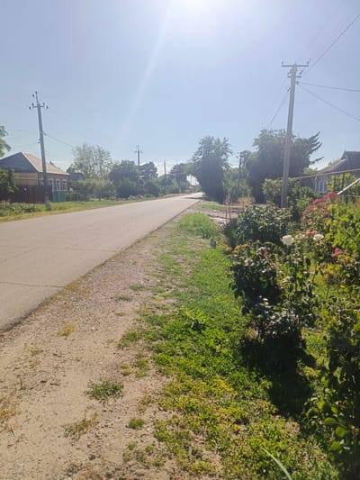 The image depicts a quiet, rural road in Staronizhestebliyevskaya, Russia. The sun is high in the sky, indicating midday, and the weather appears to be clear and warm, with a bright sunbeam prominently featured in the upper portion of the frame. The road itself is paved and cracked, with a dirt shoulder on the left side and a grassy area interspersed with dirt and small pebbles on the right.
Along the right side of the road, a lush garden is in bloom, featuring numerous rose bushes with red and white flowers. A metal fence with horizontal railings runs along the edge of the garden, separating it from the road. In the background, houses with tiled roofs are visible, nestled amongst trees and vegetation, suggesting a residential area. Utility poles with electrical wires stand along the roadside, indicating infrastructure in the community.
The scene evokes a sense of peacefulness and rural tranquility. The bright sunlight and vibrant greenery suggest a summer day. There are no people visible in the image, and the focus is on the natural scenery and the quiet setting. The overall impression is one of a typical, calm day in a small Russian village. No visible text is present in the image.