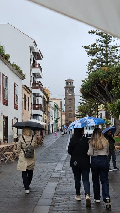 This vertical image depicts a street scene in San Cristóbal De La Laguna, Spain, on an overcast day with signs of rain. In the foreground, a person with blonde hair, wearing a light-colored coat and dark trousers, walks away from the viewer, carrying a patterned backpack and holding a black umbrella. Just ahead, two other individuals are also walking; one, with blonde hair, wears a light jacket and blue jeans, while the other is in a dark top, both seemingly also using umbrellas. A blue umbrella adorned with white floral patterns is prominently visible further up the street.
The street is paved with a mix of light and dark blocks, featuring a visible drainage line running along its center. Traditional buildings with colorful facades, wooden balconies, and multiple windows line both sides of the street, showcasing local architecture. On the left, a large, distinctive tree with thick, gnarled branches, characteristic of a Drago (Dragon Tree), stands prominently. In the background, a tall, rectangular stone bell tower with multiple windows and a visible clock face rises above the rooftops, serving as a significant landmark. The sky is uniformly gray, indicating cloudy weather. No legible text is visible in the frame.