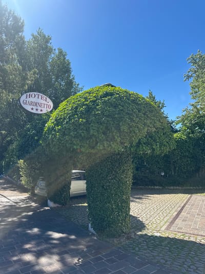 The image shows the entrance to the Hotel Giardinello in Desenzano del Garda, Italy. A white sign with red lettering and three red stars hangs above an archway covered in dense green ivy, resembling a mushroom. A silver car is partially visible parked under the ivy-covered arch. The ground in front of the entrance is paved with cobblestones, and there are trees and foliage surrounding the hotel. The sky is clear and blue, indicating a sunny day.