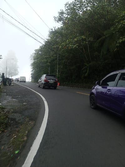 A curved road winds through a lush, green landscape shrouded in fog. Several vehicles, including a black car and a purple car, are visible on the road. On the side of the road are several cars, motorcycles and figures. A white line marks the edge of the pavement. The trees and foliage line the roadside, adding to the dense and slightly misty atmosphere. Overhead, power lines stretch across the sky.