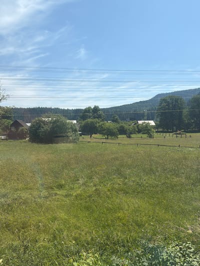 The image captures a rural landscape in Mykulychyn, Ukraine, on a bright, sunny day. In the foreground, a field of tall, green grass stretches towards the horizon. A faint rainbow effect is visible in the lower left portion of the field. In the middle ground, a small cluster of trees and bushes stands in a grassy area, partially obscuring a red-roofed building. Further back, several other buildings with white roofs are visible amongst more trees. A wooden fence with evenly spaced posts runs across the middle ground. The background is dominated by a densely forested hillside that rises to meet a clear blue sky with sparse, wispy clouds. Overhead, power lines crisscross the sky. There are no people or animals visible in the image.