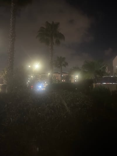 The image depicts an outdoor scene at night in Or Akiva, Israel. The primary subjects are palm trees, lush green foliage, and buildings in the background. The lighting suggests artificial light sources, possibly streetlights and lights from within the buildings, creating a somewhat hazy and diffused illumination due to what appears to be a foggy or misty atmosphere.

The scene is dominated by the silhouettes and illuminated details of palm trees, one of which is particularly prominent in the foreground, its fronds appearing to sway or be in motion. In the mid-ground and background, there are several buildings, appearing to be residential or commercial structures, with visible windows and lights. A street or pathway is suggested by the presence of streetlights, one of which is intensely bright, casting a strong glow and creating lens flare. There are also indications of vehicles with headlights and taillights visible in the distance, suggesting some level of activity on a road.

The overall mood of the image is somewhat mysterious and serene, with the night setting and diffused light contributing to this atmosphere. The time of day is clearly night. The weather appears to be foggy or misty, obscuring some details and softening the light. The location is identified as Or Akiva, Israel, which is hinted at by the presence of palm trees common in such climates and the architecture of the buildings. No text is visible in the image.
