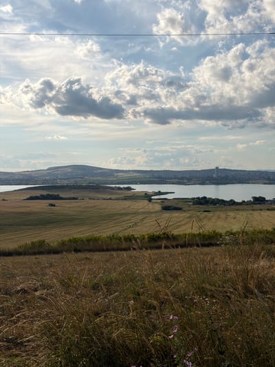 The image depicts a scenic landscape with a body of water, rolling hills, and a partly cloudy sky. In the foreground, tall, dry grasses and a few small purple wildflowers are visible. The middle ground features a large, harvested field with visible tractor tracks, leading to a smaller patch of trees. Beyond the field is a calm body of water, possibly a lake or reservoir. In the distance, a town or city stretches along the far shore of the water, with hills and mountains forming the backdrop. A tall, modern building is a prominent feature of the distant cityscape. The sky is a mix of blue and white clouds, with a thin black wire stretching horizontally across the upper portion of the image. The scene appears to be located in Tvarditsa, Bulgaria, based on the context provided. No people are visible in the image.