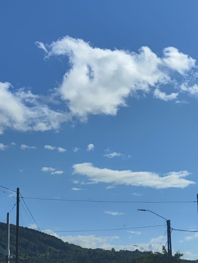 This is a vertical, medium-distance, eye-level shot of a bright blue sky filled with scattered white cumulus clouds. The clouds are varied in shape and size, with a prominent, larger cloud formation in the upper half of the frame exhibiting some interesting shapes. Towards the bottom of the image, a dense, green, tree-covered hillside is visible, sloping from left to right. In the foreground, a portion of a utility pole with electrical wires stretching across the frame is present on the left side. Further to the right, another utility pole with a street lamp attached to it is also visible. The scene is set in Leordina, Romania, during daylight hours under a clear sky. There are no people or animals visible in the image.
