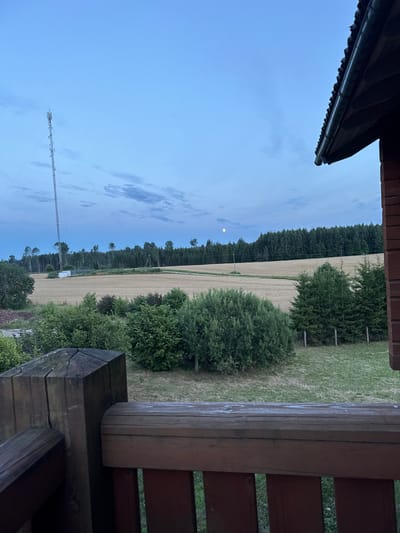 The image depicts a twilight scene in Jeedasküla, Estonia. In the foreground, a wooden railing and post of a balcony or porch are visible. Beyond this, a rural landscape unfolds. A vast field, likely of grain, stretches into the distance, bordered by a dense forest. A tall communication tower stands prominently on the left side of the field, with power lines extending across the scene. High in the pale blue sky, the moon is a small, luminous disc. The overall impression is one of quiet solitude in a natural setting.