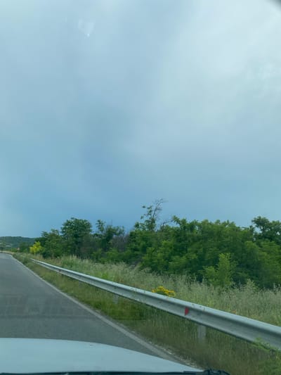The image shows a roadside view of a rural area. A gray asphalt road curves to the left, bordered by a metal guardrail. Beyond the guardrail, tall green grass and wildflowers grow, interspersed with lush green trees and foliage. In the distance, a gentle hillside covered in trees is visible under a hazy, overcast sky. A portion of a white vehicle's hood is visible in the foreground. The scene appears to be located near Aleko Konstantinovo, Bulgaria.