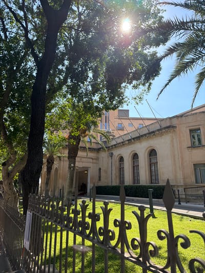 The image depicts a sunlit scene in Floriana, Malta, likely during daytime given the bright sunlight and clear sky. In the foreground, an ornate wrought-iron fence with pointed finials runs horizontally across the frame, casting shadows on a vibrant green lawn. Beyond the fence, a portion of a light-colored, multi-story building is visible, characterized by arched windows with dark frames and decorative cornices.

Overhead, lush green trees, including palm fronds, partially obscure the building and the sky. The sun is a prominent feature, shining brightly through the leaves of a large tree, creating lens flare effects and dappled light. In the background, another taller, modern building with visible windows can be seen. The overall impression is one of a well-maintained, possibly historical, urban environment with significant greenery. No people or specific activities are discernible. The image is oriented vertically, with the top of the frame on the left.