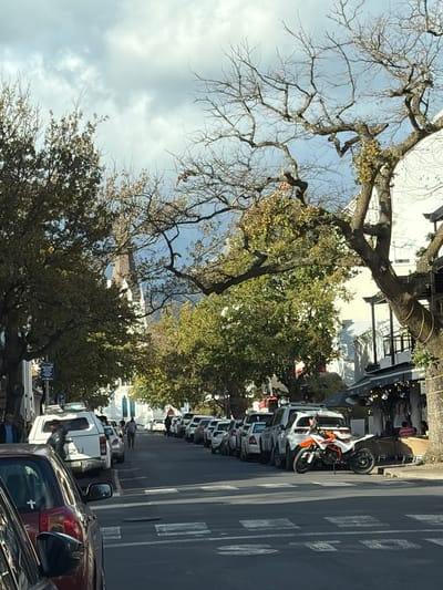 This image captures a vibrant street scene in Stellenbosch, South Africa, viewed from a slightly elevated perspective. The composition is dominated by a mix of mature trees and a busy street lined with buildings and vehicles.

On the left side of the frame, a large tree with mostly bare branches sprawls across the sky, suggesting autumn or early spring. Below and to its right, other trees with lush green and some yellowish foliage provide a canopy over parts of the street and buildings. The sky is partially cloudy with patches of clear blue visible through the tree branches.

The right side of the image features a paved street with distinct white crosswalk markings and other road lines. Numerous vehicles are parked along the curb, including a prominent white and orange KTM motorcycle parked in the middle distance. Further down the street, a line of cars is visible, along with a white utility van with a blue logo or text on its side that might read "UN" and numbers like "28-530" below it. In the foreground, the rear of a dark red car is partially visible.

Behind the parked vehicles, various buildings, predominantly white or light-colored with dark window frames, line the street. These buildings appear to house businesses or residences, with some featuring outdoor seating areas where people are visible, suggesting cafes or restaurants. A few pedestrians can also be seen walking on the pavement or near the parked cars.

The scene depicts a typical daytime setting, with bright natural light casting shadows, indicating it is likely late morning or early afternoon. No specific event is taking place, just the general activity of a town street. The overall impression is one of a bustling urban environment with a mix of nature and architecture. A blue signpost with illegible white text is also visible on the right.