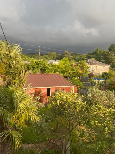 The image depicts an aerial view of a rural landscape, likely in the village of Ghryaghelis Temi, Georgia. The scene is dominated by lush greenery, with various trees and palm fronds in the foreground. A red-roofed, barn-like structure with an open doorway is visible in the mid-ground, to the left. Further back, a large, light-colored house with a gabled roof stands amidst trees. A swimming pool, partially covered with a blue tarp, is also discernible behind a fence. Power lines stretch across the upper portion of the frame, and the sky is filled with dark, heavy clouds, suggesting an impending storm or recent rainfall. The lighting suggests it is either early morning or late afternoon. No people are visible in the image.