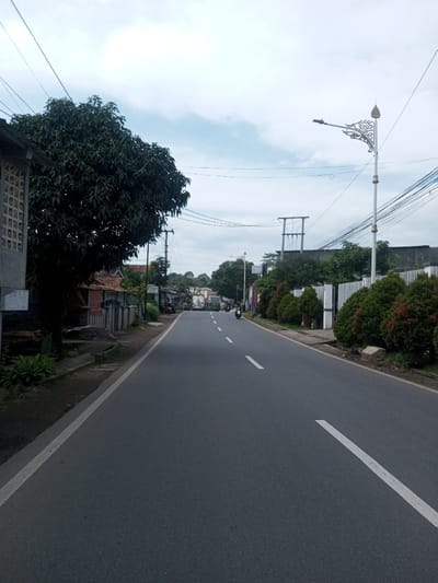 An asphalt road extends forward under an overcast sky in Chhenangri_Rishor, Bhutan. The road features a solid white line marking its edges and dashed white lines indicating its center. On the left, a light-colored building with square ventilation blocks is partially visible, adjacent to a large, dense-canopied tree. Beyond this, a dirt shoulder precedes several small, single-story structures with varied roofs. On the right, a decorative, ornate white street lamp post with a gilded finial and a modern light fixture stands near the road's edge. Further along the right side, a row of neatly trimmed, rounded bushes with reddish-green foliage borders a white fence or wall. Multiple overhead utility wires are present throughout the scene. In the mid-distance, a person on a dark motorcycle travels away from the viewer on the right side of the road. Further down the road on the left, several vehicles, including a light green bus and a white truck, are visible. The sky is largely covered by diffuse grey and white clouds.