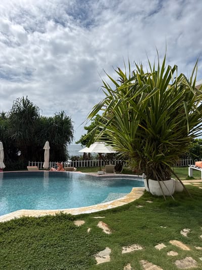 A sideways shot of a swimming pool, bordered by lush green grass on one side and decorative bushes with white umbrellas and lounge chairs on the other. Beyond the greenery, the open water meets the cloudy sky. A large potted plant with long, green leaves dominates the upper part of the scene, adding a tropical touch to the outdoor leisure area. The pool's blue water reflects the sky, creating a serene atmosphere.