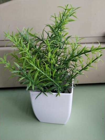 A close-up, eye-level, medium shot captures a small, artificial green plant in a white square pot. The plant is dense with thin, pointed leaves that are a vibrant green, with some lighter green tips. The pot is situated on a smooth, light green surface. Behind the pot, a textured, pale beige wall is visible, with horizontal lines suggesting shelving or a paneling system. The lighting appears to be natural and soft, casting subtle shadows. The scene is static and devoid of any human presence or activity. There is no discernible information about the location within the city of Moskovskoe, Russia.