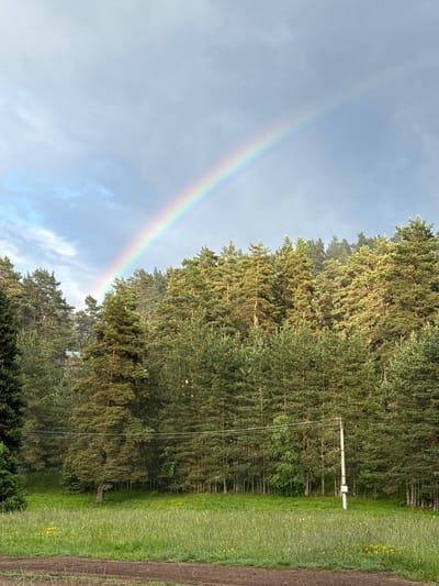 The image depicts a scenic view of a forest bordering a grassy field under a sky with a visible rainbow. The forest is dense with tall evergreen trees, primarily pines, with varying shades of green foliage. In the distance, nestled within the trees, a hint of a building structure can be discerned. The field in the foreground is covered in lush green grass, with scattered yellow wildflowers adding touches of color. A dirt path runs along the very bottom of the frame. A utility pole with wires is present in the right middle ground, indicating some form of infrastructure. The sky is a mix of light blue and grey clouds, with the rainbow arcing across the upper portion of the image. The lighting suggests it might be after or during a rain shower, with the sun illuminating parts of the forest and the rainbow. The overall scene evokes a natural, tranquil environment in the countryside. The location is Yundola, Bulgaria.