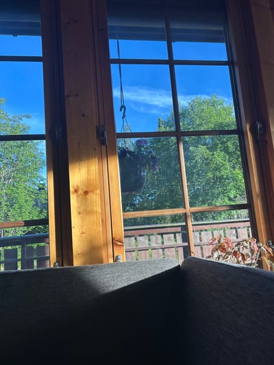 The image shows a sunlit window with a view of trees and a wooden fence. In the foreground, the top of a dark grey couch is visible, with a sharp shadow cast across it. Through the window, there is a bright blue sky with some wispy clouds. A hanging plant with purple flowers is suspended from the window frame. The wooden window frame has visible grain and knot details. In the background, lush green trees can be seen, and beyond them, a wooden fence with vertical planks. A small potted plant with red and green leaves sits on the windowsill. There are no people visible in the image. The scene appears to be indoors, looking out through a window. The mention of Kongsberg, Norway, is not supported by any visual evidence within the image itself.