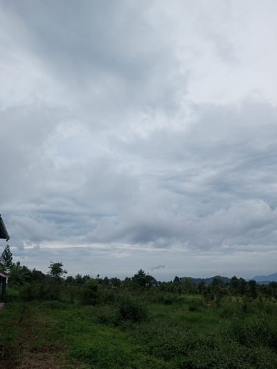 The image displays an overcast rural landscape in Abbireddygudem, India. The upper two-thirds of the frame are occupied by a dense, unbroken expanse of grey, nimbostratus clouds. The lower third features an undeveloped plot of land characterized by overgrown green grasses and various low-lying shrubs and plants. On the far left, a partial view of a building's dark-colored roofline and white gutter is visible, alongside a tall, conical evergreen tree or bush. The midground contains a thick belt of diverse trees and bushes, with faint outlines of what appear to be distant structures or houses barely visible among the foliage. The far-right horizon reveals a subtle range of hills or mountains, partially obscured by atmospheric conditions. No individuals or animals are present, and no discernible actions or interactions are depicted.