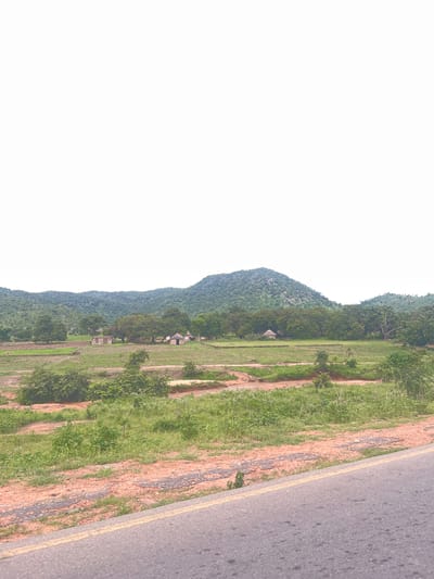 The image depicts a rural landscape in Minda, Nigeria. A paved road with a yellow line runs along the right side of the frame, bordered by a strip of dry, reddish-brown earth and sparse vegetation. To the left of the road is a large, grassy field that stretches towards a densely forested hill. The hill is covered in a variety of trees and appears to be the dominant geographical feature of the scene. In the mid-ground of the field, several small, thatched-roof structures, possibly huts, are visible, suggesting a small settlement. The overall impression is of a bright, clear day, given the abundant natural light and the lack of any visible clouds. The scene conveys a sense of peaceful, everyday rural life. There is no visible text in the image.