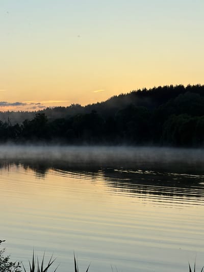 A serene lake at dawn in Satino-Russkoe, Russia, is captured in this image. A thick mist hovers just above the calm water's surface, reflecting the soft, pale yellow and blue hues of the sky. The far bank is lined with a dense forest, silhouetted against the fading twilight. In the foreground, reeds emerge from the water, their sharp silhouettes adding a touch of detail to the tranquil scene. The water itself is mostly still, with subtle ripples creating a textured pattern on its surface. No people or animals are visible. The overall impression is one of quiet solitude and natural beauty.