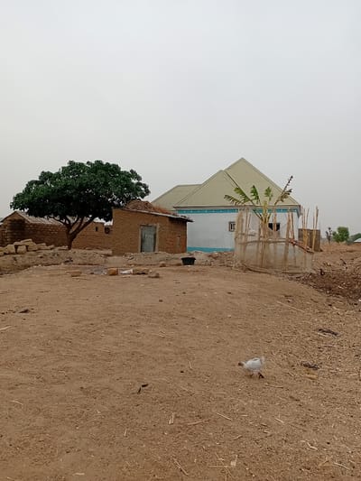 The image depicts a scene in Nata-Ala, Nigeria. The foreground shows a dirt path with scattered debris. To the left, a tree stands adjacent to a brick structure with a visible wooden door. Behind this, a two-story building with a silver-colored roof is visible. The sky is overcast. A white plastic bag is discarded on the path. There are no people visible in the image.
