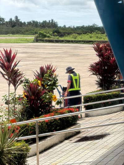 The image shows a man wearing a safety vest and hat, bent over near plants and a railing. He appears to be tending to the vegetation. The setting appears to be a paved area alongside a building with a brick-like exterior, which is in Del Carmen, Philippines. In the background is a green, tree-lined area under a partially cloudy sky. The image is taken at an angle, partially obstructed by an upper frame.