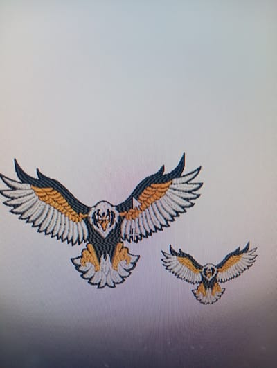 This image displays two embroidered eagles, one larger and one smaller, against a subtly textured, light-colored background. The larger eagle is positioned on the left, with its wings fully extended, showcasing detailed feathering in black, white, and golden-yellow hues. The smaller eagle is situated to the right and slightly lower, also with outstretched wings and similar coloration. The image appears to be a digital capture of a screen or a photograph of an embroidered artwork. There is no discernible information within the image to indicate a specific location in Rumuepirikom, Nigeria.