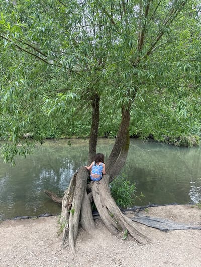 A girl in a blue and white bathing suit sits on the roots of a willow tree growing next to a body of water. The tree’s canopy is full of green leaves. The water is still and reflects the sky and surrounding vegetation. The ground is covered in gravel and dirt. This scene is likely in West Oxfordshire, United Kingdom.