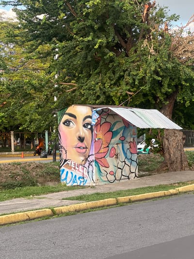The image depicts a street scene in Maracay, Venezuela. A small, weathered structure, possibly a utility box or a kiosk, is covered in vibrant graffiti. The artwork features a large, stylized portrait of a woman's face on one side, with soft pink and yellow tones. The other side of the structure is adorned with floral motifs in shades of pink, blue, and green, set against a background of cracked white paint. The structure has a corrugated metal roof that appears rusted in places.
Adjacent to the structure is a large tree with dense green foliage and a thick, gnarled trunk. Behind the tree and the structure, a street is visible, with a yellow-painted curb and a sidewalk. Several motorcycles are parked on the sidewalk, and a single orange traffic cone is placed near them. In the background, a metal fence and more trees suggest a park or a public area. The sky above is overcast. The overall impression is one of urban art integrated into the everyday landscape of the city.