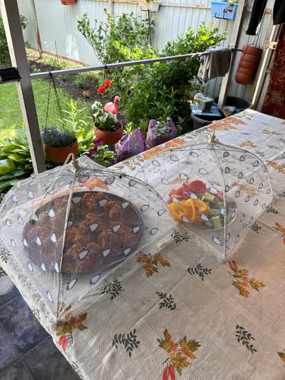 The image shows an outdoor table covered with a floral-patterned tablecloth. On the table are two food covers, one containing a platter of fried food items, and the other containing chopped vegetables such as bell peppers and cucumbers. In the background, a garden area with greenery and flowers is visible, along with a fence. The setting appears to be a backyard or patio area, likely in a rural or suburban location given the presence of the garden and fence. There are no people visible in the image. The overall impression is one of an outdoor meal preparation or serving scene.