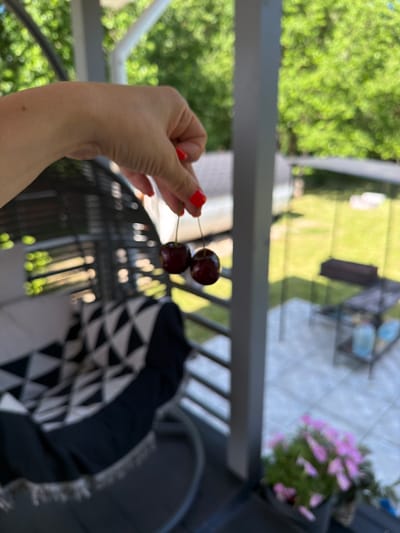 A woman's hand, with bright red nail polish, holds two dark red cherries by their stems. The hand is positioned in the foreground, partially obscuring a wicker chair with a black and white geometric patterned cushion. In the background, a blurred outdoor scene is visible, suggesting a backyard or patio area with green foliage, a white downspout, and some outdoor furniture. The overall impression is one of a casual, outdoor setting on a sunny day. The location of Алешкино Дп, Russia is not explicitly visible in the image itself, but is provided as context.