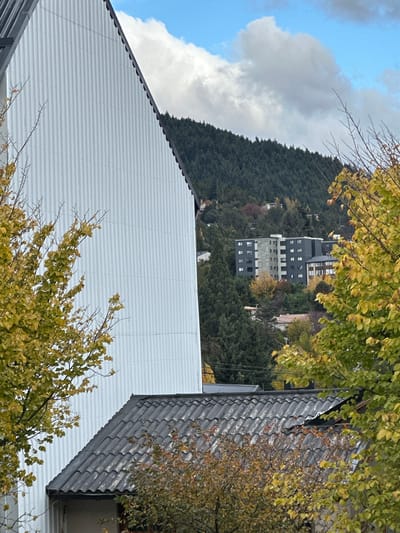This image presents a panoramic view of a mountainous, forested landscape featuring residential or commercial buildings. The perspective is from an elevated point, likely from another building, looking down and across the scene.

In the immediate foreground, two prominent roofs are visible. To the left, a large, light-colored (possibly white or light grey) corrugated metal roof with a distinct peak extends diagonally across the frame. To the right, a darker grey, tiled roof with a wavy pattern is partially obscured by the foliage of a tree.

Beyond these roofs, a dense, dark green forest covers a steep hillside, stretching into the background. Several multi-story buildings are interspersed throughout this forested area. One building stands out, characterized by its dark grey or black facade and numerous white, rectangular windows.

The sky above is a mix of bright blue and large, fluffy white and grey clouds, indicating partly cloudy weather. The trees in the foreground and midground display yellow and light green leaves, suggesting the autumn season, with some bare branches also visible.

The scene depicts a calm, natural setting integrated with urban development, likely during the daytime. There is no discernible human activity or event taking place, and no visible text. The mountainous terrain and dense forest align with the characteristic landscape of San Carlos de Bariloche, Argentina.