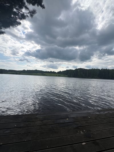 The image depicts a serene waterside scene, likely captured at Pozdyshki, Russia. The foreground features a dark wooden deck, its planks oriented diagonally from the bottom right to the upper left. The deck appears wet, suggesting recent rain or proximity to the water. To the left of the deck, a calm body of water stretches towards the horizon, its surface rippling and reflecting the sky.
Beyond the water, a dense, dark green forest forms a distinct treeline, with a narrow strip of lighter green land visible between the trees and the water. The sky above is dramatic, filled with a mix of dark, heavy clouds and patches of bright, luminous white clouds, hinting at a dynamic and possibly changing weather. Sunlight breaks through in some areas, creating bright streaks and illuminating parts of the cloud cover. On the far left of the image, the dark silhouettes of pine trees stand against the bright sky.
The overall mood of the image is peaceful and contemplative, with the natural elements of water, forest, and sky dominating the composition. The time of day is indeterminate due to the overcast sky, but the quality of light suggests it could be late afternoon or early evening. There are no people or discernible objects other than the natural landscape and the man-made deck. No visible text is present in the image.
