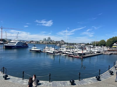 This is a daytime, eye-level, wide-angle photograph of a marina in Victoria, Canada, likely the Inner Harbour, given the presence of ferries and the urban skyline. The water is a deep blue, reflecting the clear sky with scattered white clouds.
In the foreground, two women are seated on a stone walkway, facing away from the camera and towards the water. They are positioned behind a black metal fence with circular bollards.
The middle ground is dominated by the marina, filled with numerous docked boats of various sizes, including sailboats and motor yachts. A large white ferry with blue and red accents is visible on the left, departing from a dock. To its right, a smaller white and dark blue boat is moored. Cranes are visible in the background on the left side of the image, suggesting ongoing construction or port activity.
The background features the cityscape of Victoria, with a cluster of modern high-rise buildings and older architecture, framed by trees on the right. The sky is a vibrant blue, typical of a sunny day.