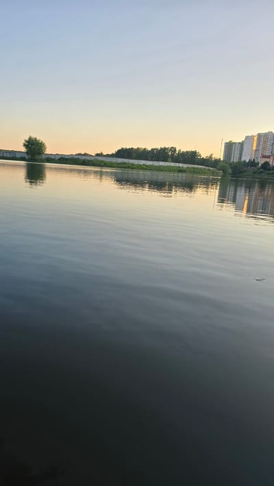 A serene body of water reflects a pale sky and a line of trees and tall buildings along the bank. The image is oriented vertically, with the water occupying the right side and the sky and landscape on the left. Gentle ripples disturb the water's surface, catching the soft light.
On the left side, a distant treeline separates the water from a cluster of modern, multi-story buildings. The architecture suggests an urban or suburban setting. A single, leafy tree stands prominently near the water's edge, its reflection also visible on the surface. A concrete retaining wall or embankment runs along the edge of the water, partly obscured by greenery.
The sky is a gradient of pale yellow and blue, indicating either sunrise or sunset. The overall mood is peaceful and calm, with no visible activity or people. The location is identified as Ashcherino, Russia. Some graffiti is visible on the concrete wall near the bottom left of the image, but the text is not clearly legible.